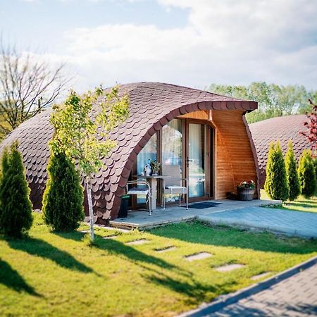 Montana Garden 호텔 Răşinari 외부 사진